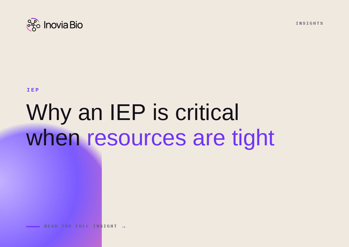 Why an IEP is critical when resources are tight